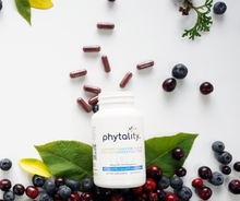 Load image into Gallery viewer, Phytality® Gut Health Supplement Wholesale